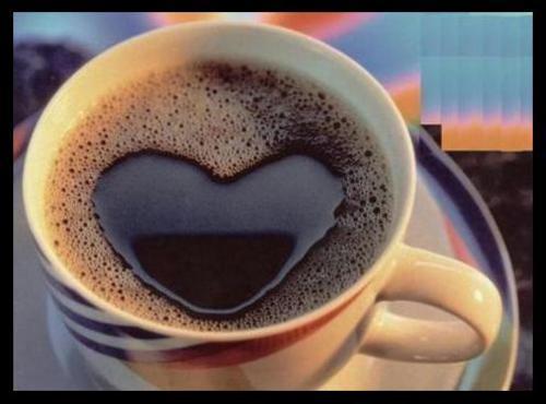 20080301182019-cafe.jpg