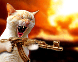 20080407144704-mil-cabreado.gif